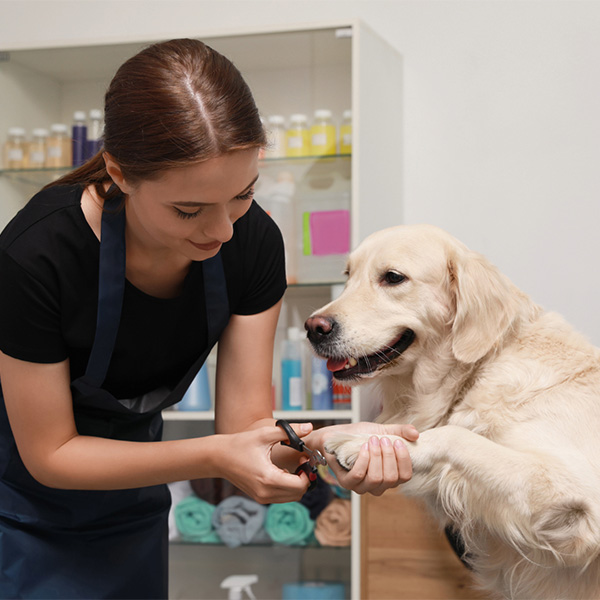 cooperative care nail clip