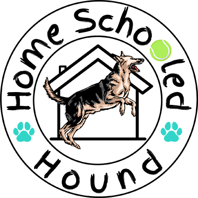 professional dog trainer