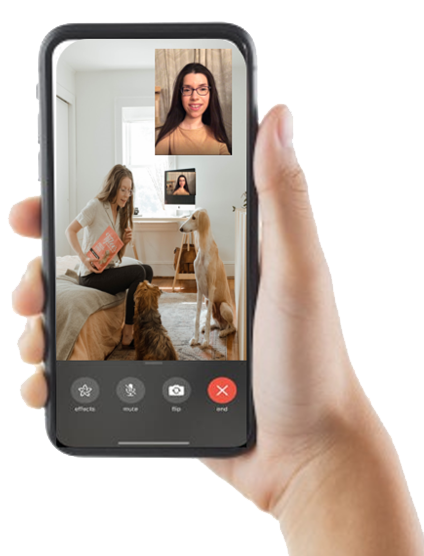 virtual dog training via facetime